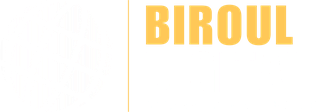 BIROUL DIGITAL
